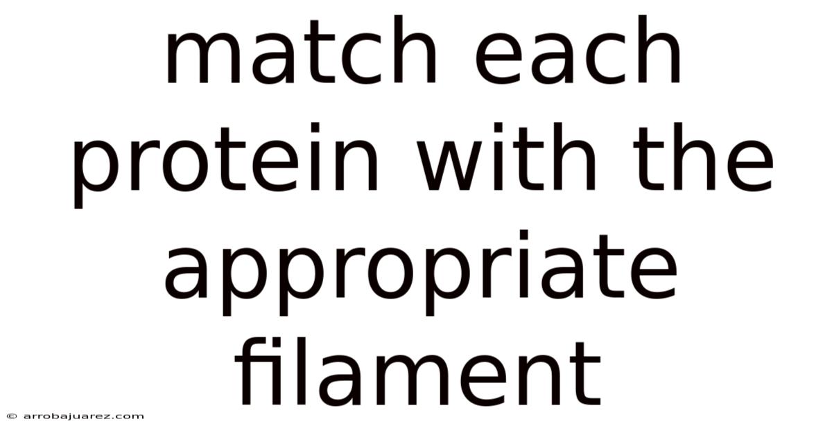 Match Each Protein With The Appropriate Filament