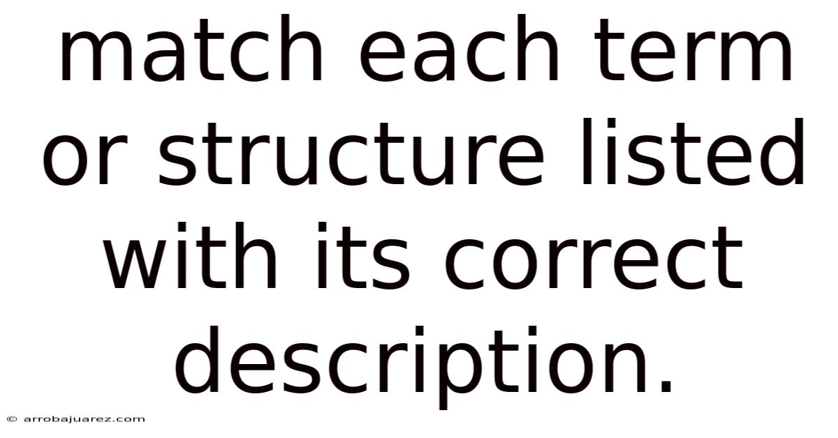 Match Each Term Or Structure Listed With Its Correct Description.