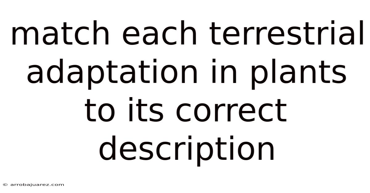 Match Each Terrestrial Adaptation In Plants To Its Correct Description