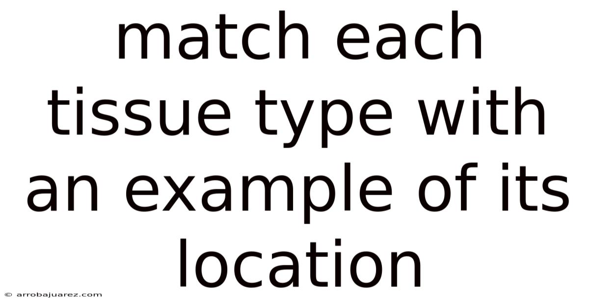 Match Each Tissue Type With An Example Of Its Location