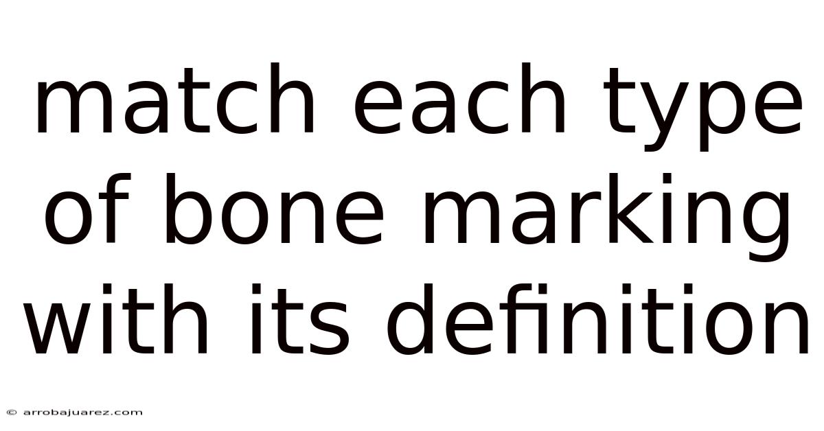 Match Each Type Of Bone Marking With Its Definition