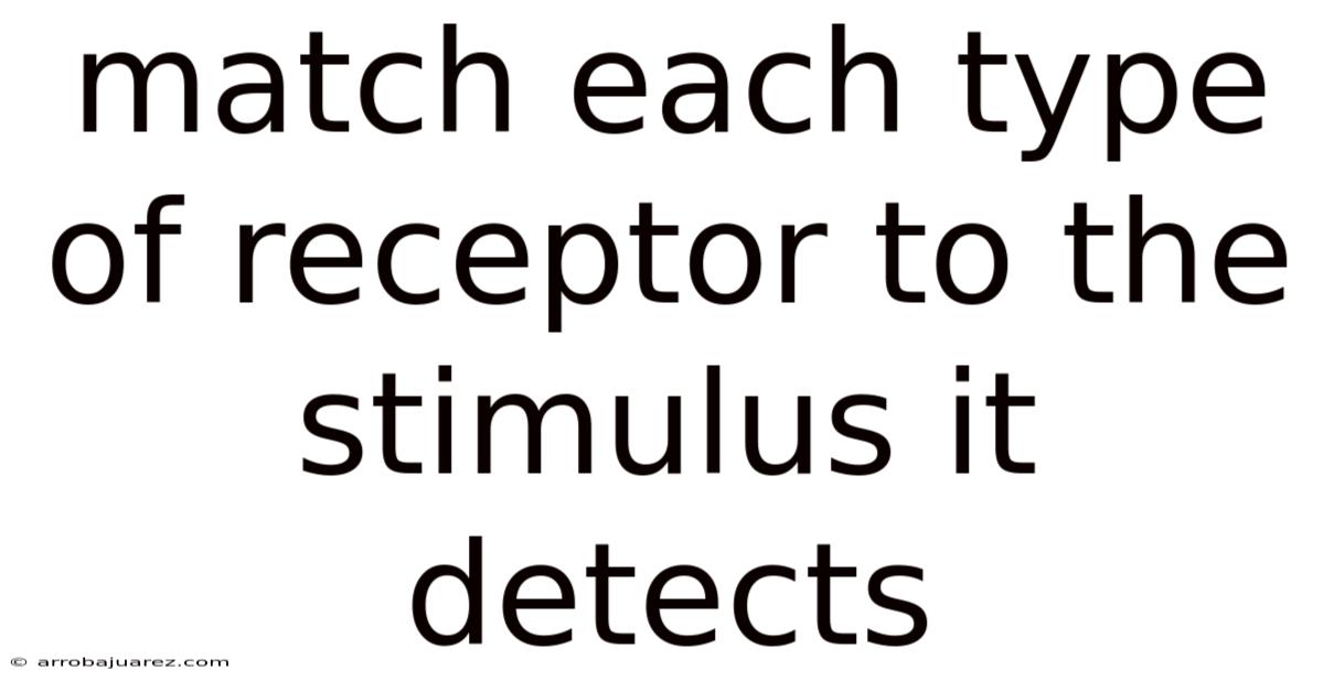 Match Each Type Of Receptor To The Stimulus It Detects