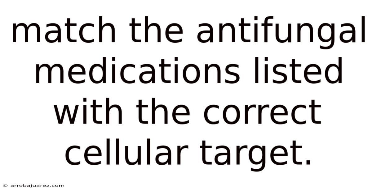 Match The Antifungal Medications Listed With The Correct Cellular Target.