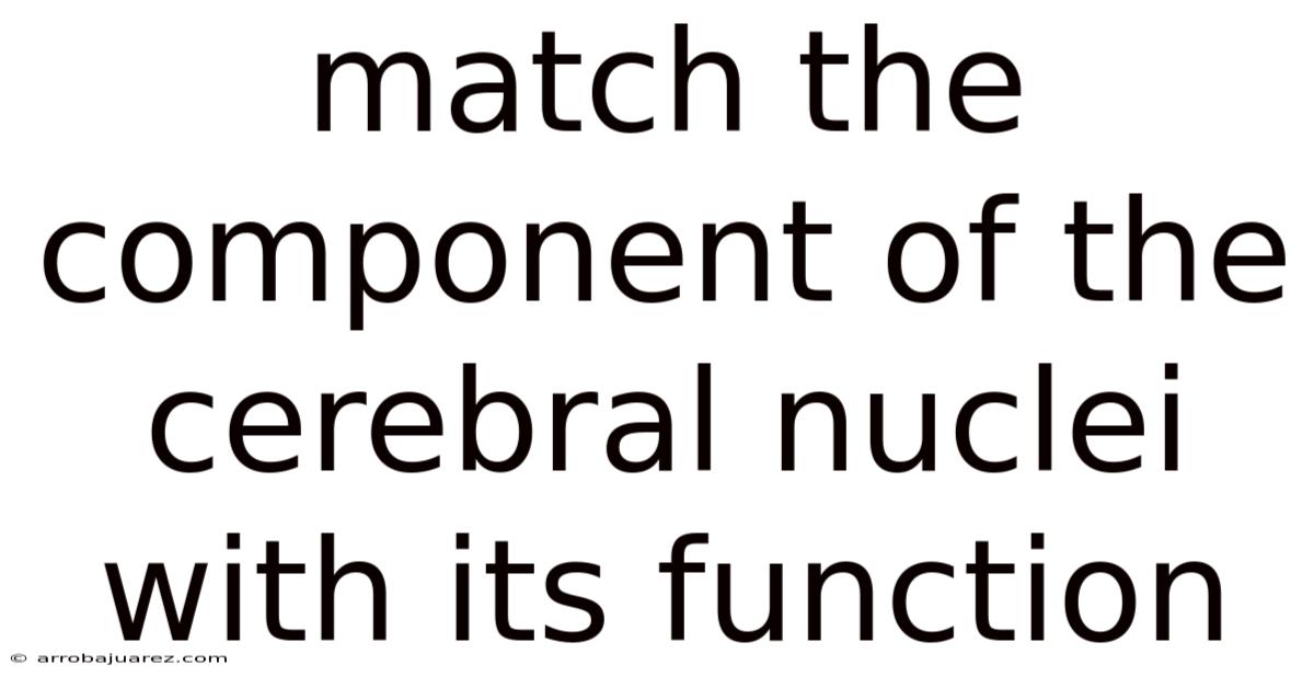 Match The Component Of The Cerebral Nuclei With Its Function