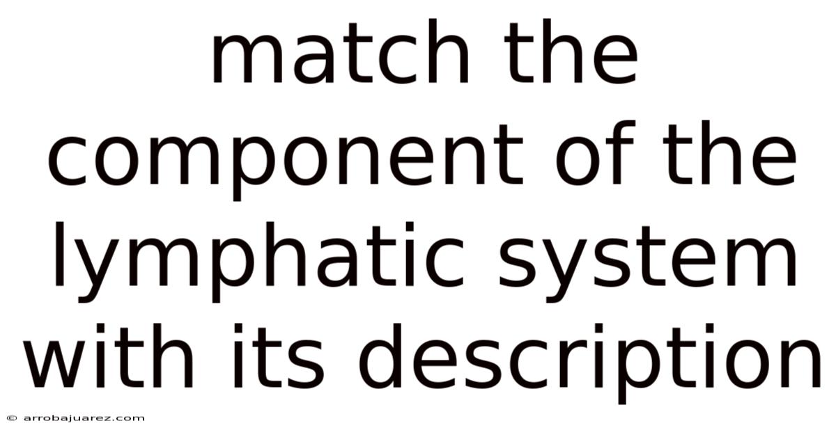 Match The Component Of The Lymphatic System With Its Description