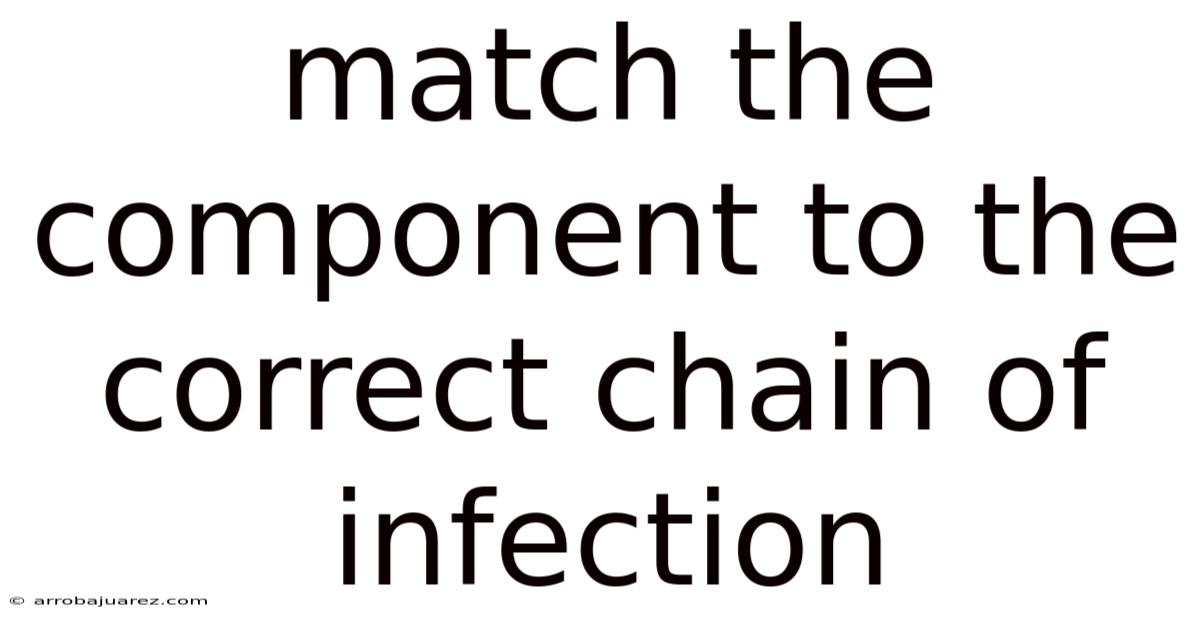 Match The Component To The Correct Chain Of Infection