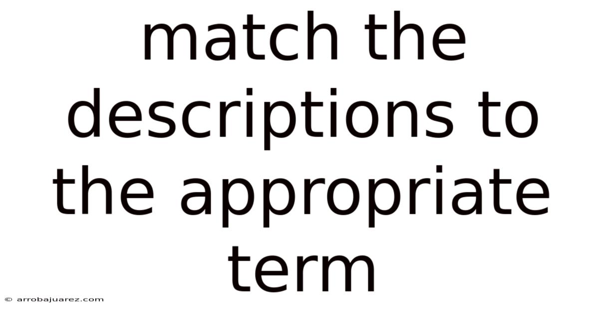 Match The Descriptions To The Appropriate Term