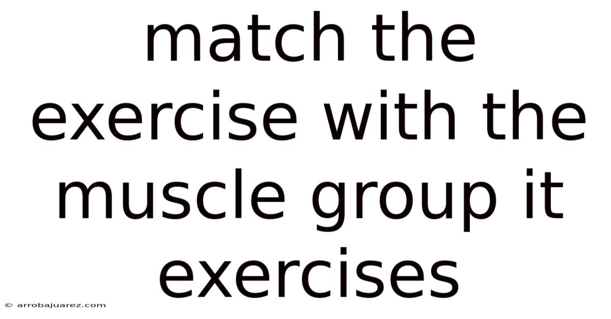 Match The Exercise With The Muscle Group It Exercises