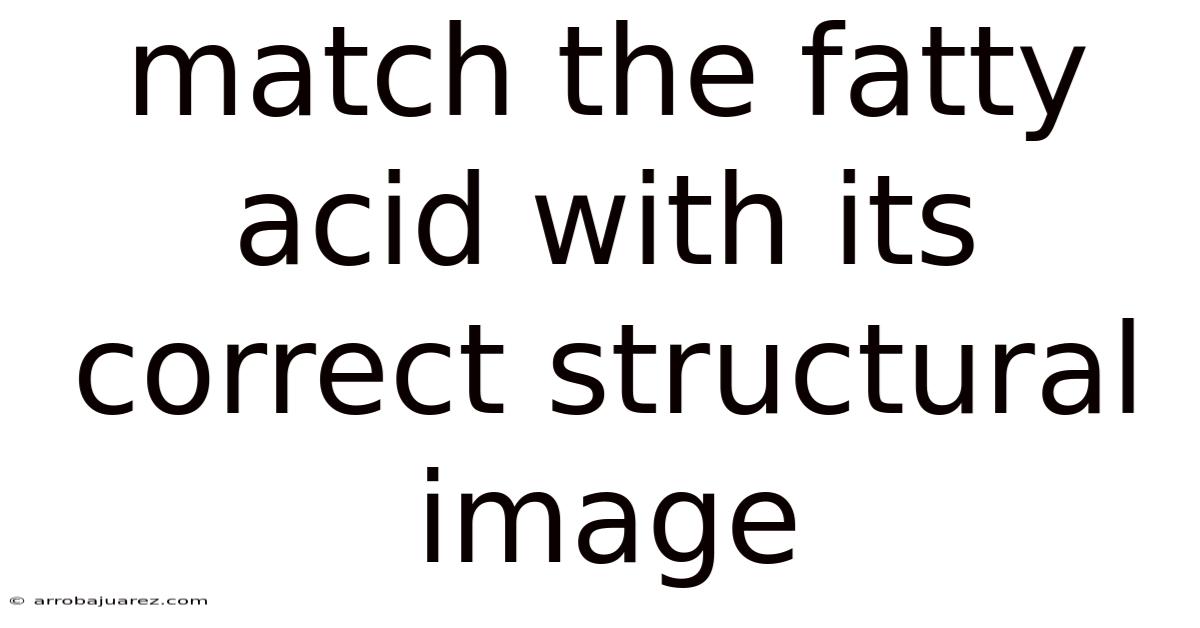 Match The Fatty Acid With Its Correct Structural Image