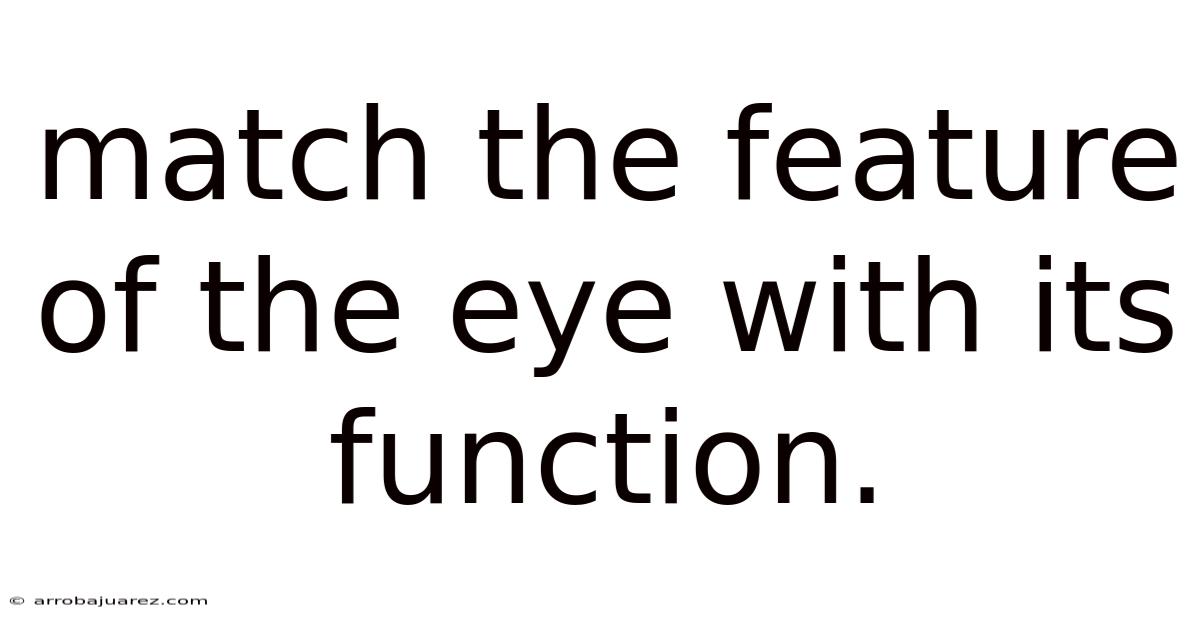 Match The Feature Of The Eye With Its Function.