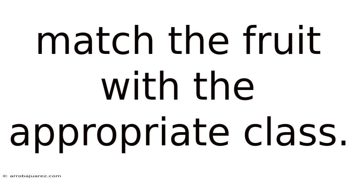 Match The Fruit With The Appropriate Class.
