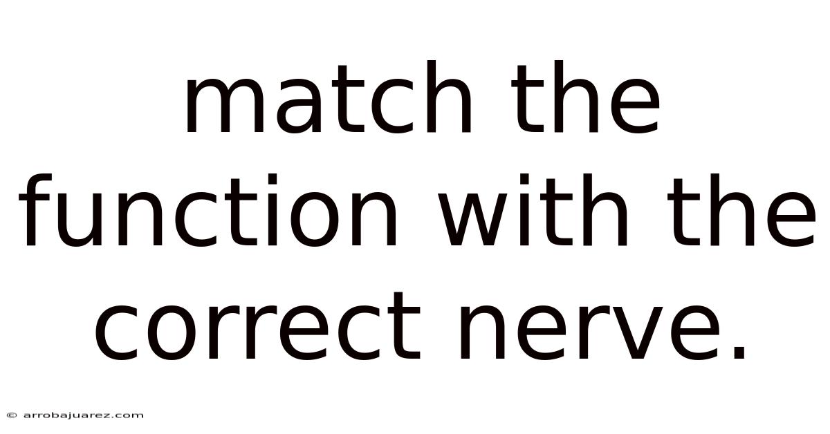 Match The Function With The Correct Nerve.