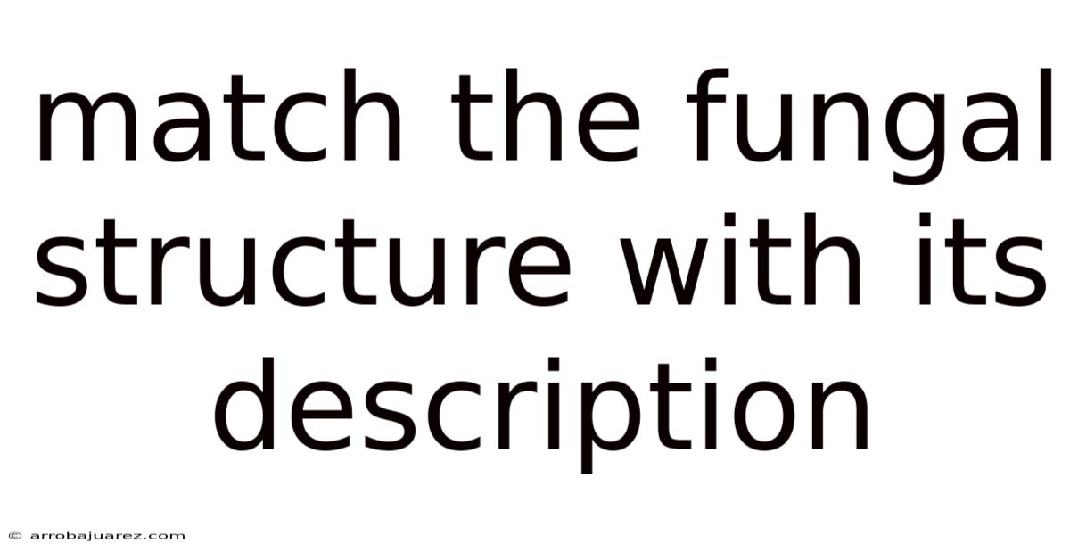 Match The Fungal Structure With Its Description