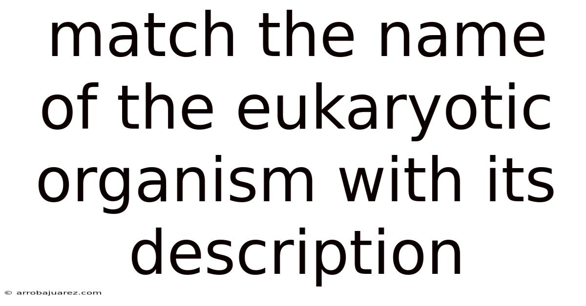 Match The Name Of The Eukaryotic Organism With Its Description