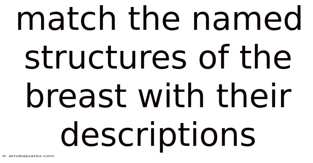 Match The Named Structures Of The Breast With Their Descriptions