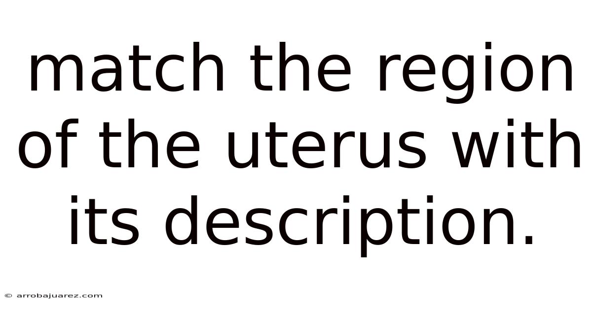 Match The Region Of The Uterus With Its Description.