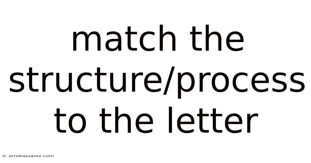 Match The Structure/process To The Letter
