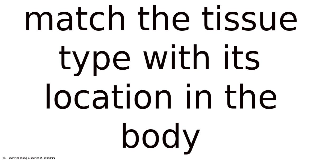 Match The Tissue Type With Its Location In The Body