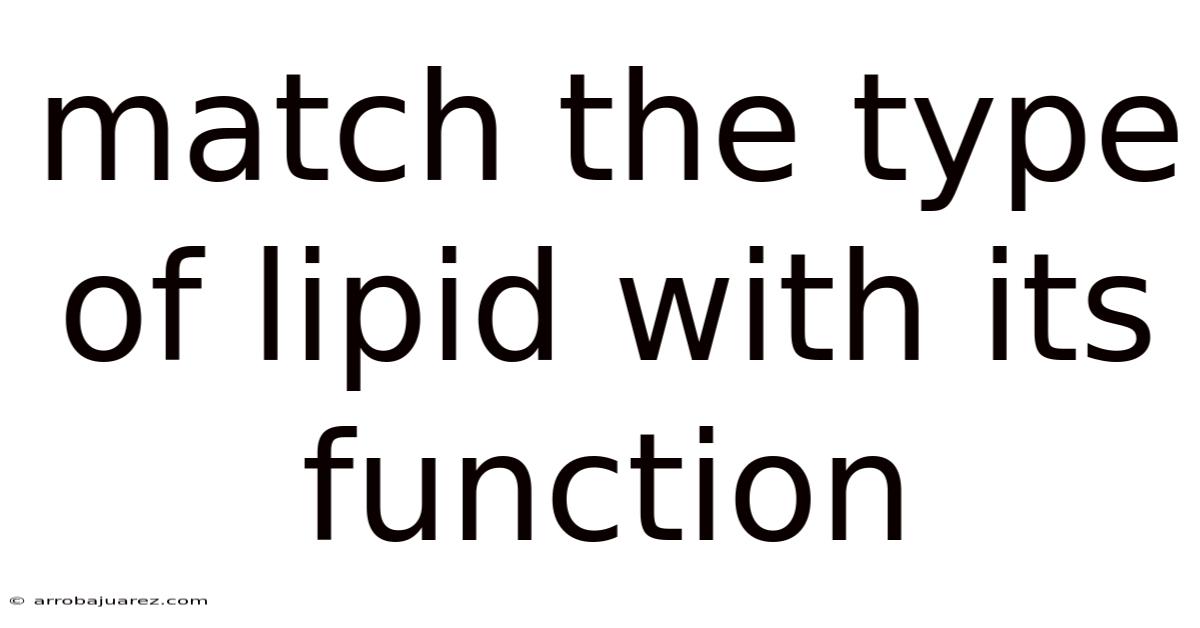 Match The Type Of Lipid With Its Function