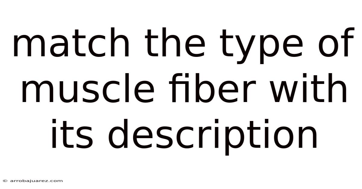 Match The Type Of Muscle Fiber With Its Description