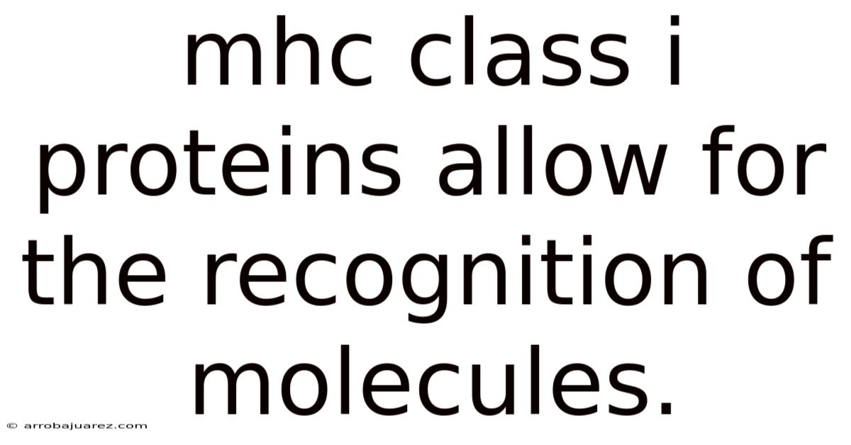 Mhc Class I Proteins Allow For The Recognition Of Molecules.