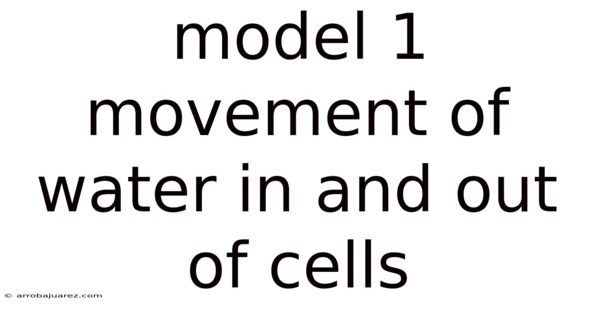 Model 1 Movement Of Water In And Out Of Cells