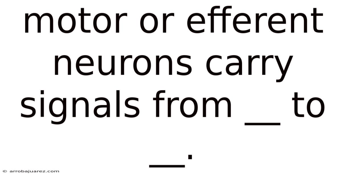 Motor Or Efferent Neurons Carry Signals From __ To __.