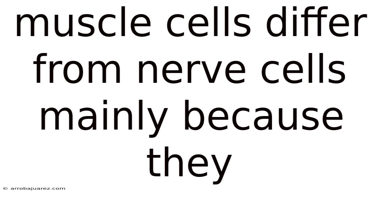 Muscle Cells Differ From Nerve Cells Mainly Because They