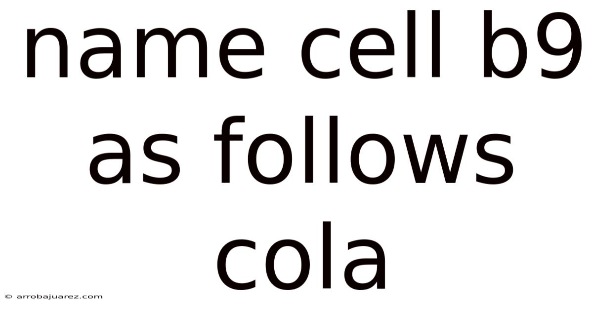 Name Cell B9 As Follows Cola