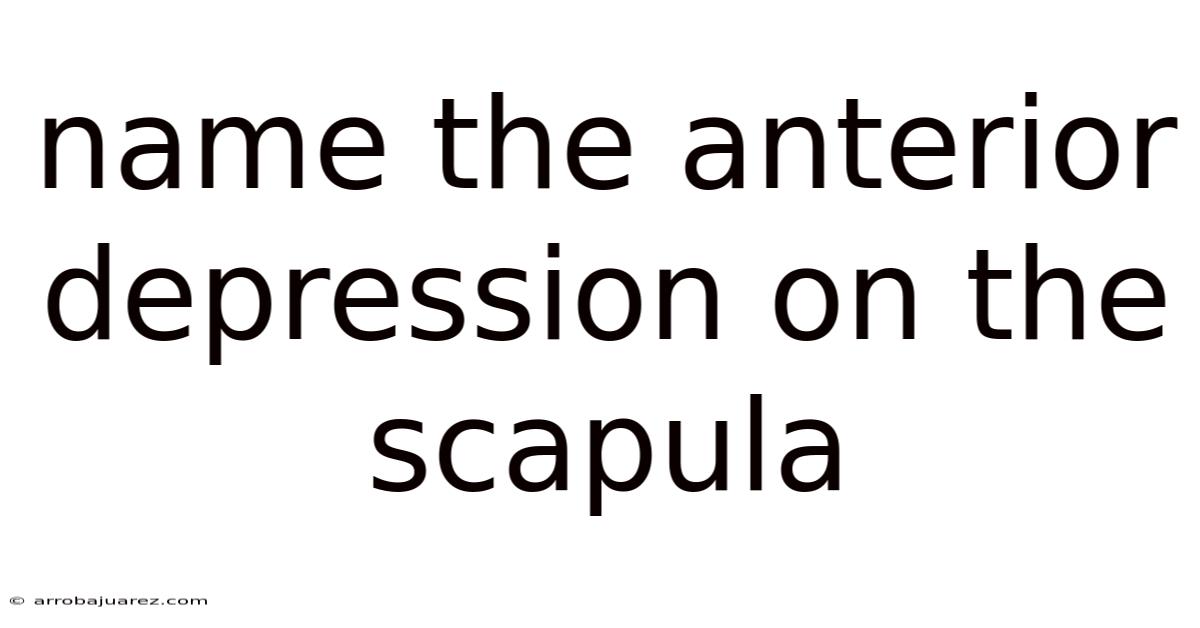 Name The Anterior Depression On The Scapula