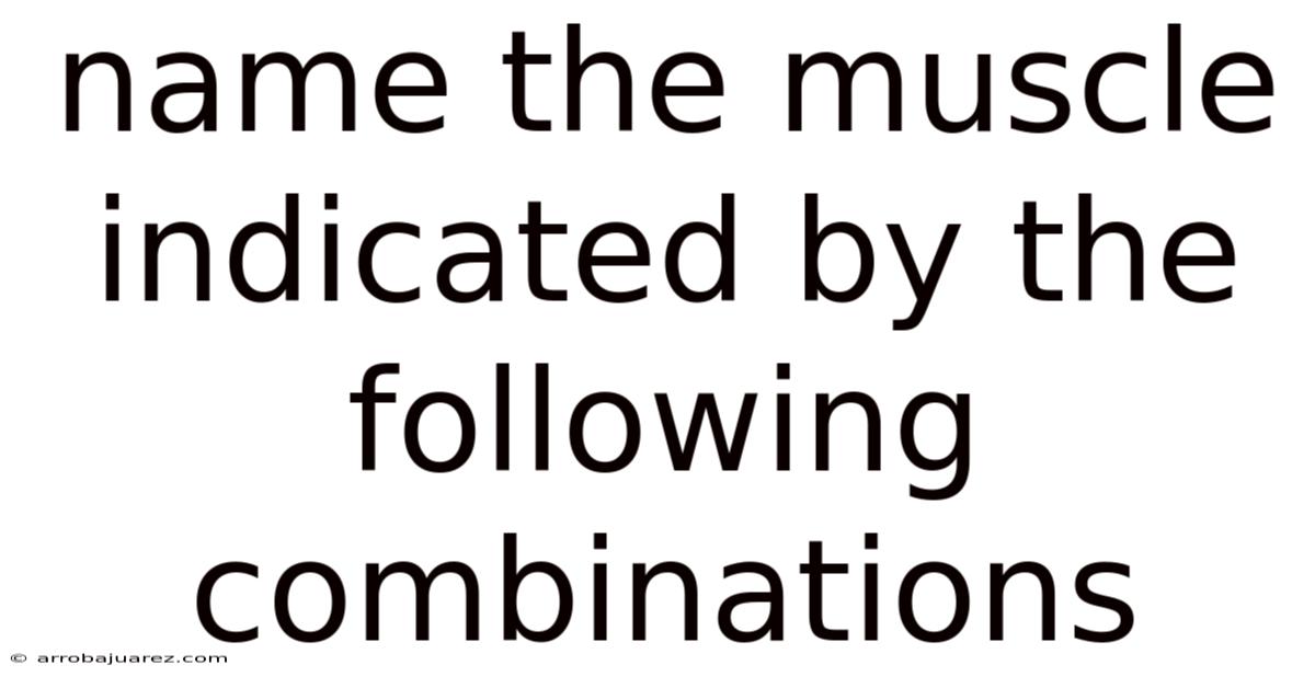 Name The Muscle Indicated By The Following Combinations