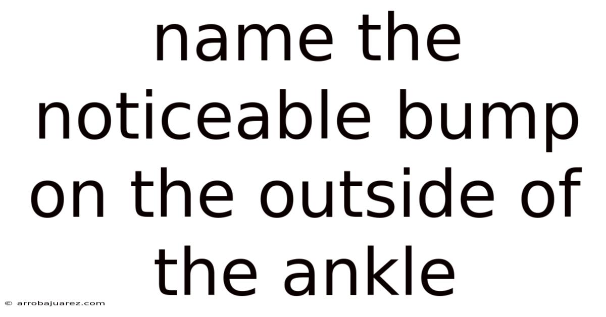 Name The Noticeable Bump On The Outside Of The Ankle