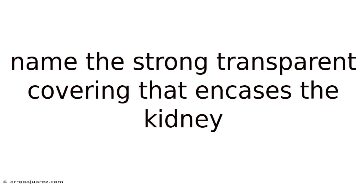 Name The Strong Transparent Covering That Encases The Kidney