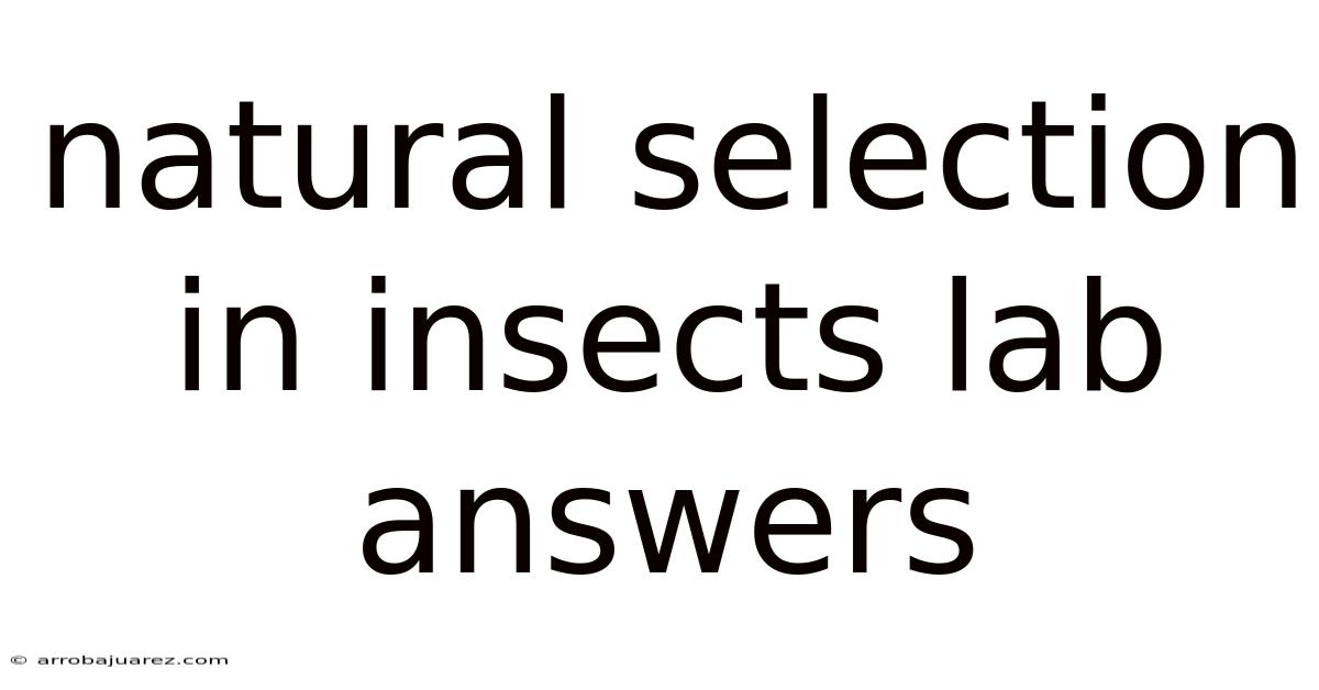 Natural Selection In Insects Lab Answers