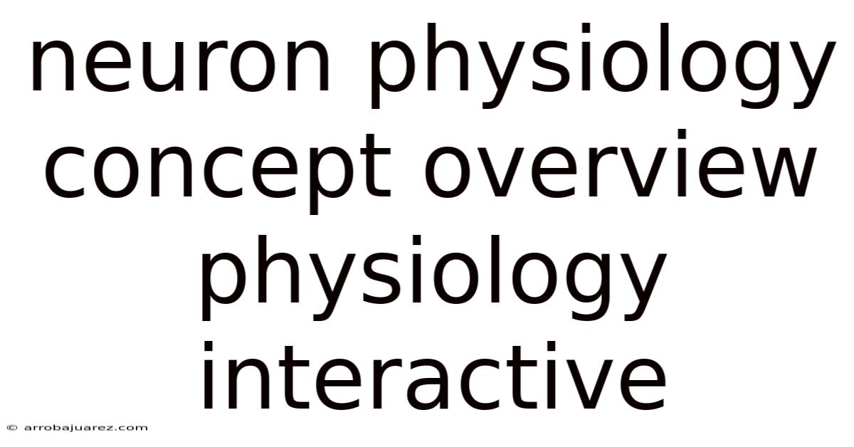 Neuron Physiology Concept Overview Physiology Interactive