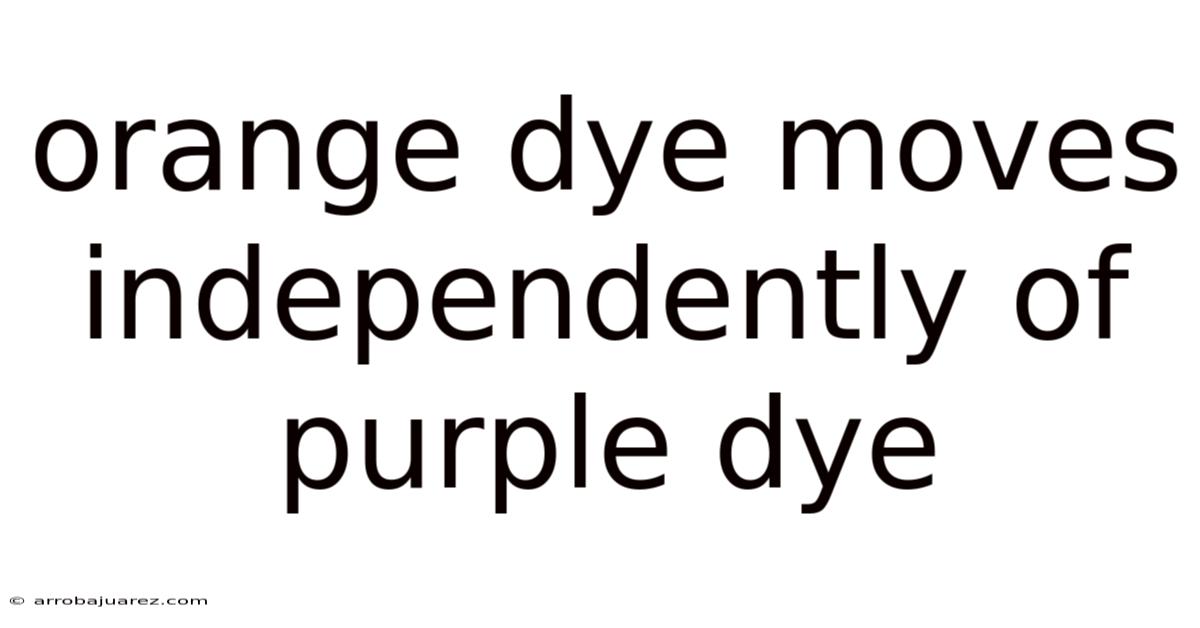 Orange Dye Moves Independently Of Purple Dye