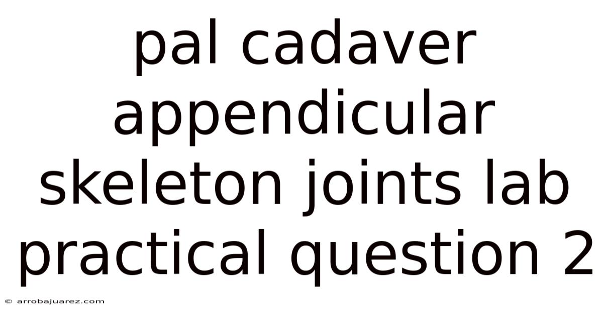 Pal Cadaver Appendicular Skeleton Joints Lab Practical Question 2