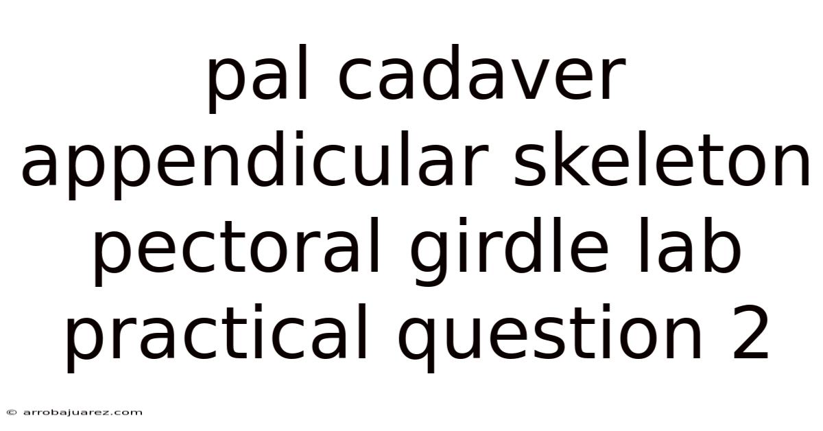 Pal Cadaver Appendicular Skeleton Pectoral Girdle Lab Practical Question 2