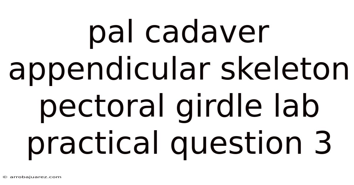 Pal Cadaver Appendicular Skeleton Pectoral Girdle Lab Practical Question 3