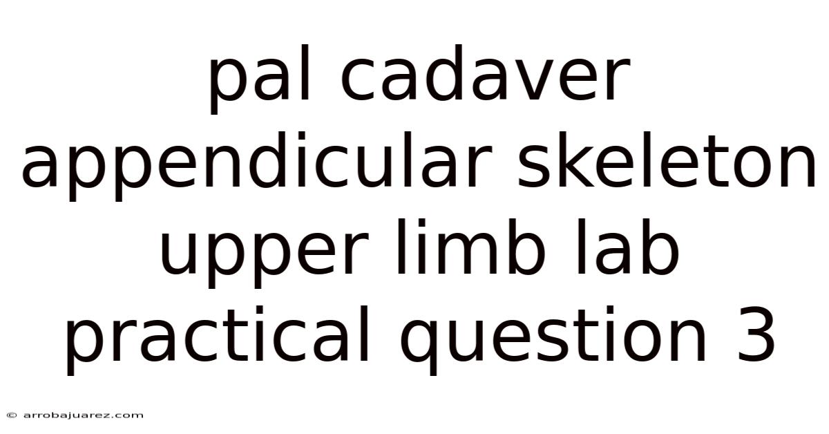 Pal Cadaver Appendicular Skeleton Upper Limb Lab Practical Question 3