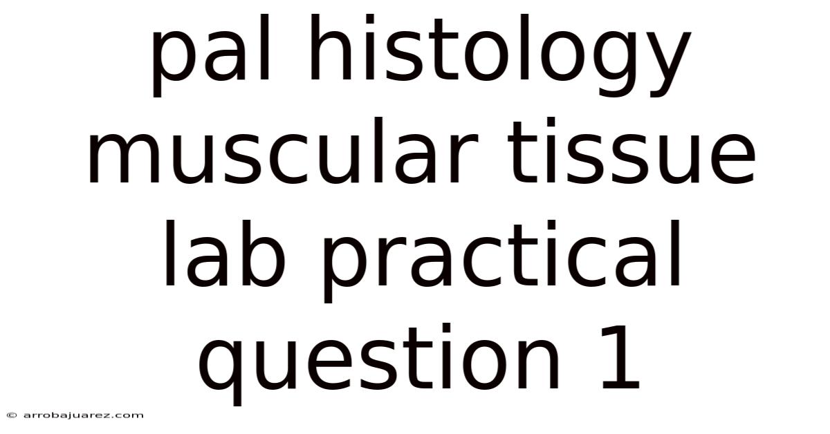 Pal Histology Muscular Tissue Lab Practical Question 1