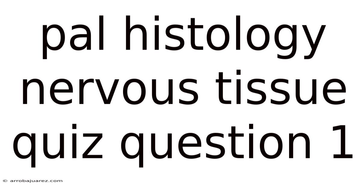 Pal Histology Nervous Tissue Quiz Question 1
