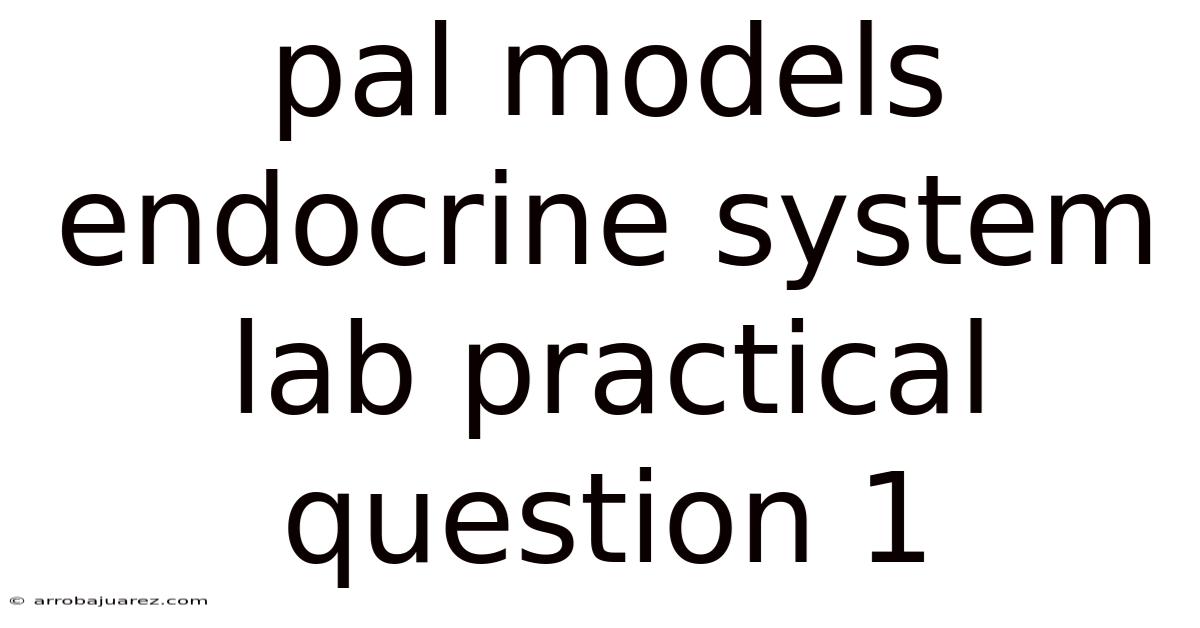 Pal Models Endocrine System Lab Practical Question 1