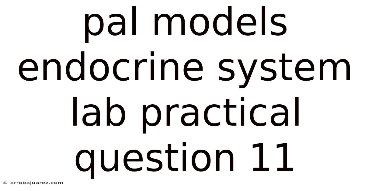 Pal Models Endocrine System Lab Practical Question 11