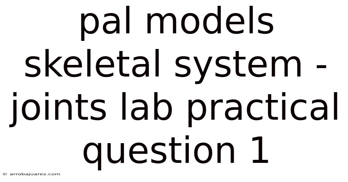 Pal Models Skeletal System - Joints Lab Practical Question 1