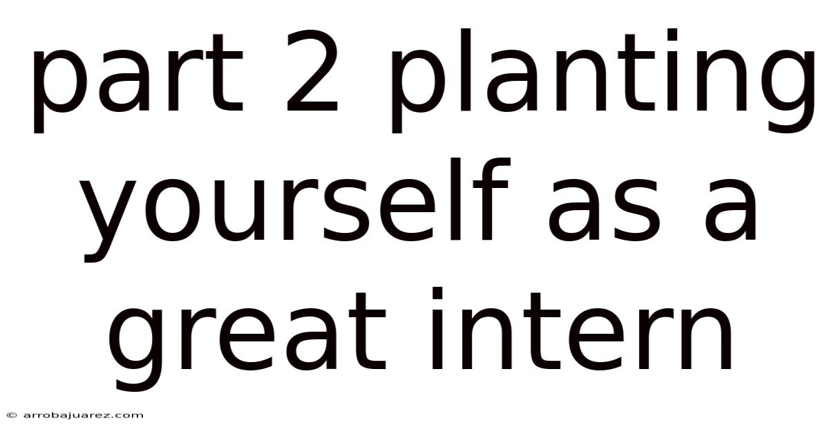 Part 2 Planting Yourself As A Great Intern