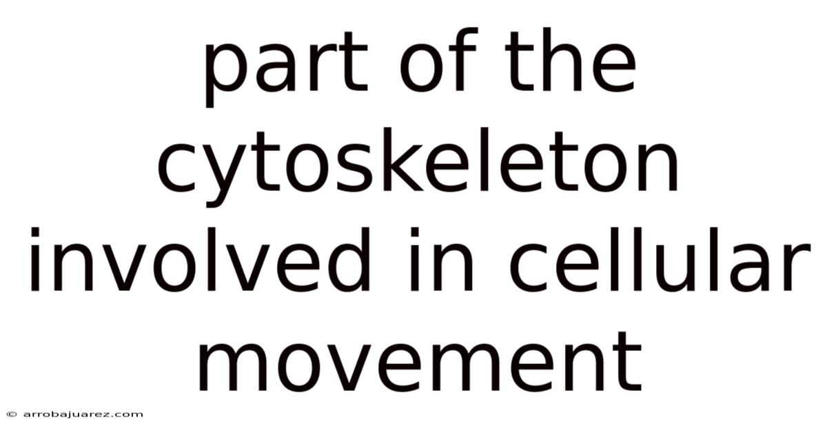 Part Of The Cytoskeleton Involved In Cellular Movement