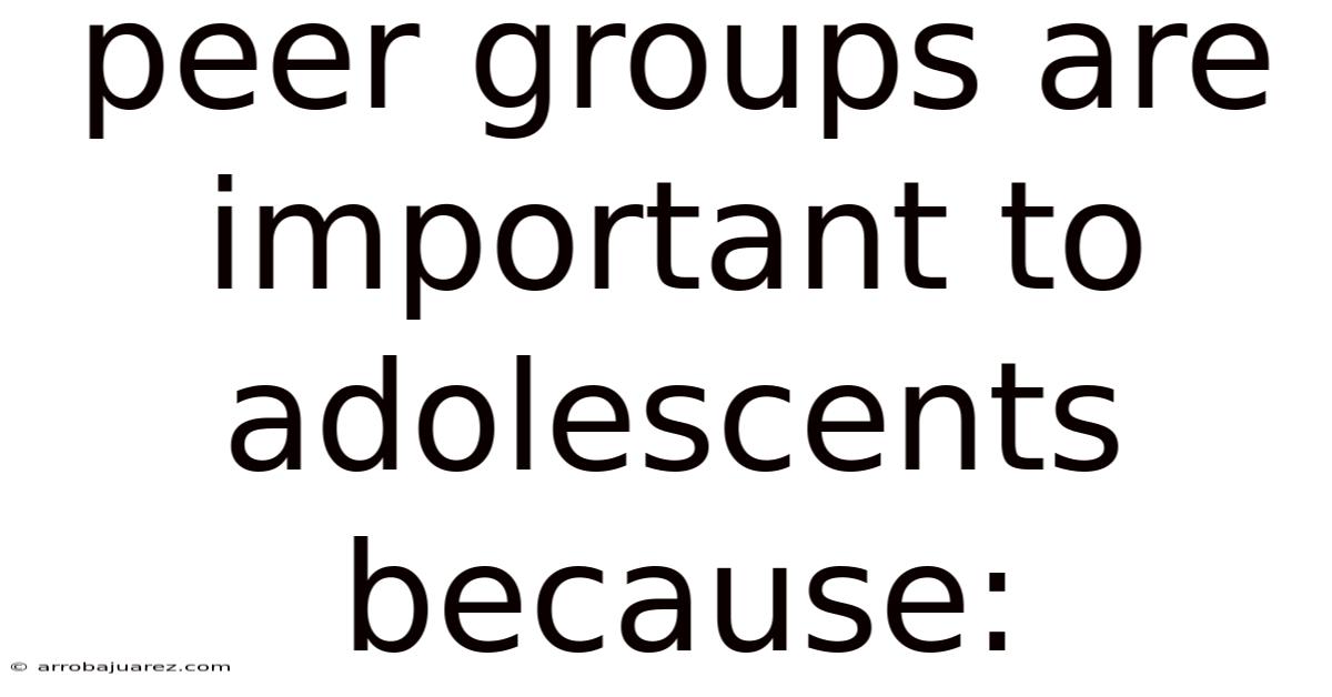 Peer Groups Are Important To Adolescents Because: