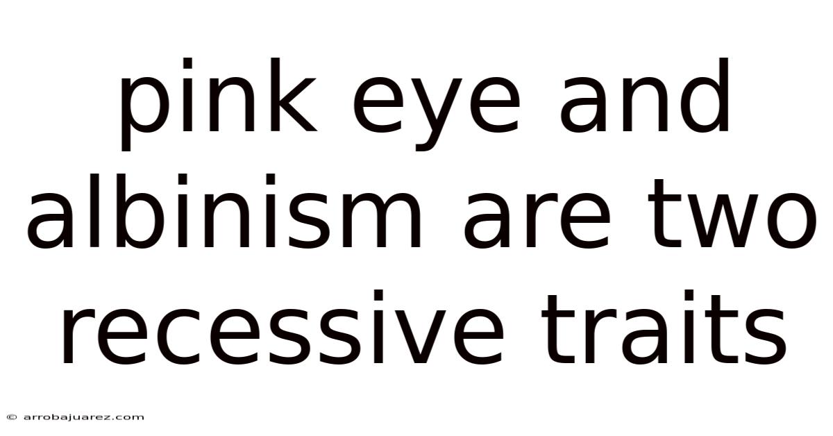 Pink Eye And Albinism Are Two Recessive Traits
