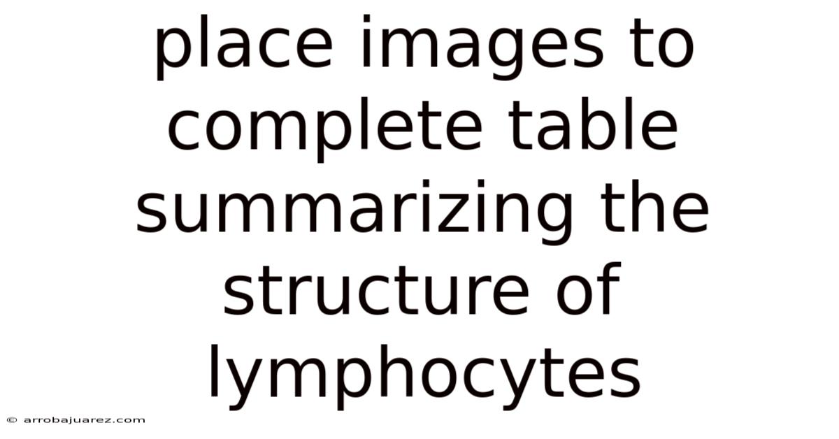 Place Images To Complete Table Summarizing The Structure Of Lymphocytes